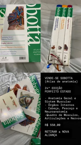 SOBOTTA 24º EDIÇÃO