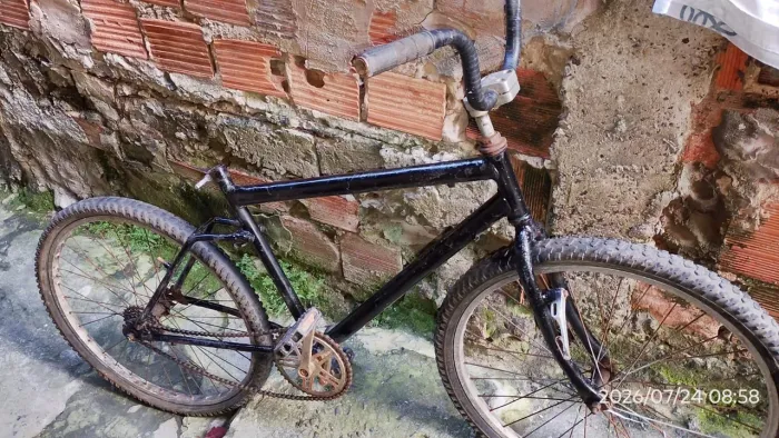 Bicicleta