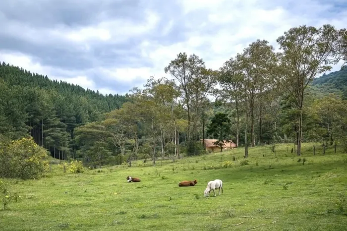 Área à venda, 99000 m² por R$ 3.300.000,00 - Invernadinha - Rancho Queimado/SC
