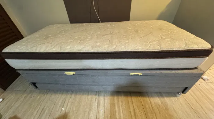 CAMA