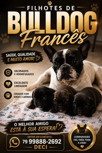Filhote de cachorro 