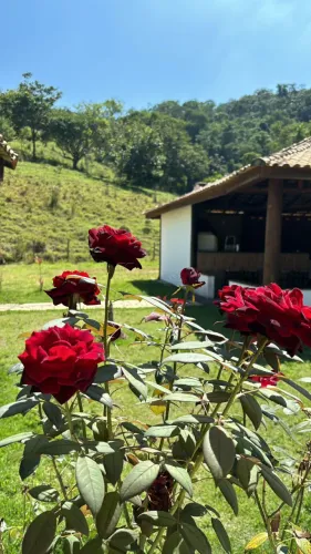 Sítio à venda ou locação em São José dos Campos ? 12,5 hectares