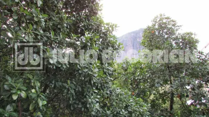 Lagoa Lagoa - Excelente prédio - Apartamento maravilhoso - Reformado - Living - Lavabo - 4