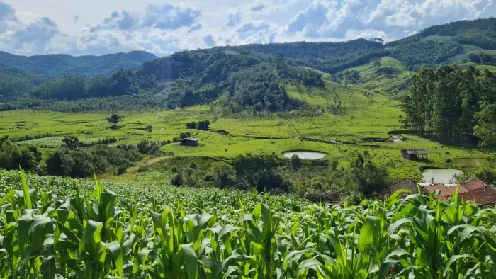 Sitio com escritura em Águas Mornas - SC