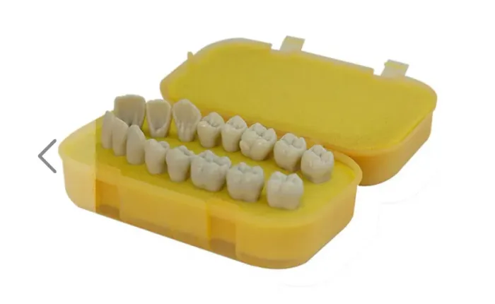 Macro dentes PRONEW - Estojo com 16 dentes