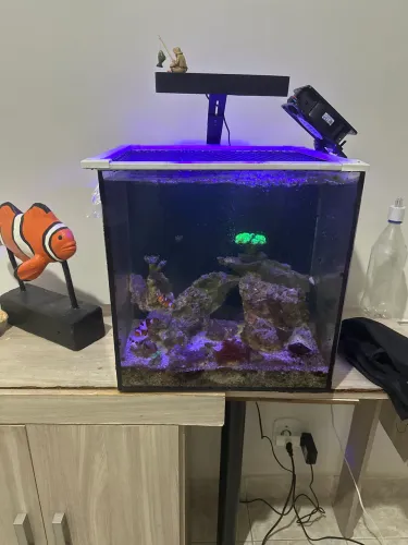 Aquário marinho completo