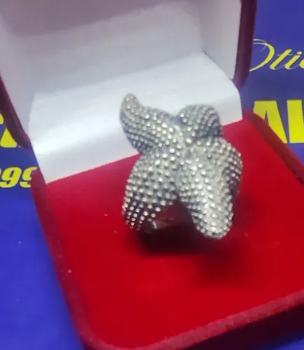 Anel Estrela do Mar Prata 950 Peso 9.80 Gramas                                            