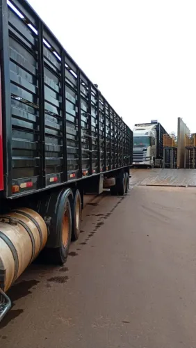 Carreta boiadeira