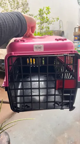 Caixinha de Transporte para Cachorro