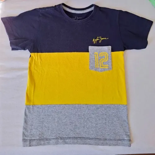 Camiseta Infantil Oficial Ayrton Senna tam 8