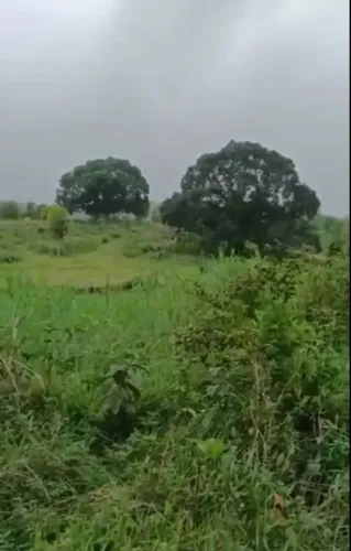 Vendo Fazenda em Joaquim Gomes - Alagoas