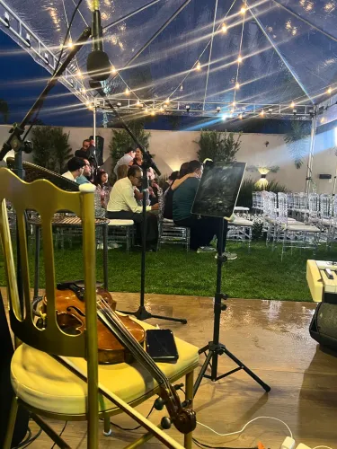 Aulas de violino e eventos 
