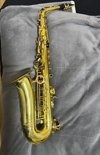 Vendo ou troco Sax Alto