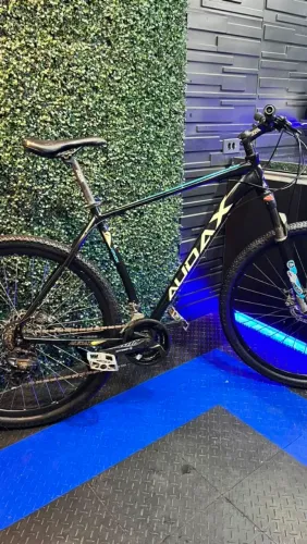 Bike Audax aro 29
