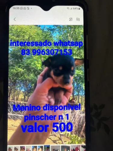 Menino
