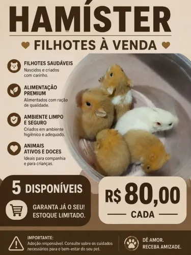 Hamister sirio 