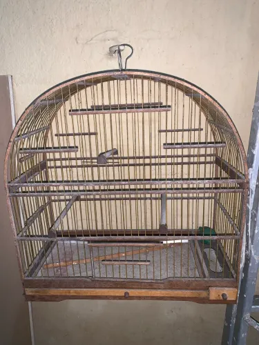 Gaiola