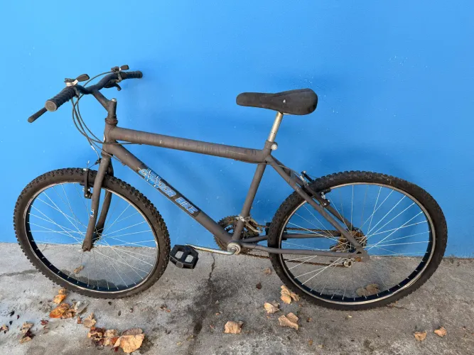 Bicicleta