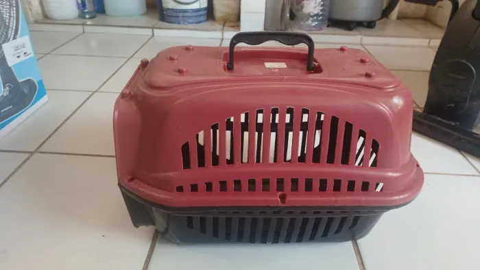 Caixa viajante para pets 