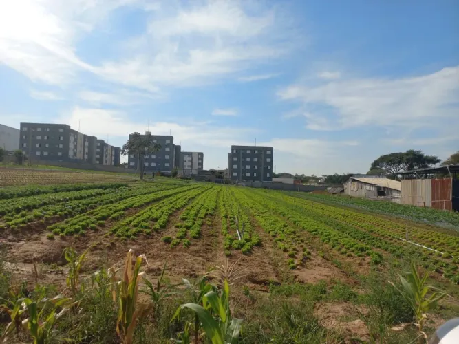 Área à venda, 11683 m² por R$ 7.000.000,00 - Jardim Boa Vista - Hortolândia/SP