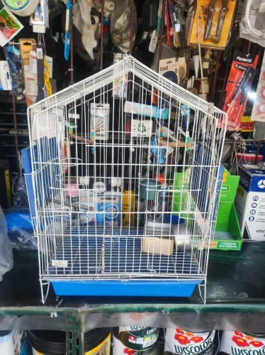  Gaiola metálica para aves domésticas pequenas 