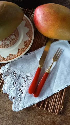 Talheres vintage em baquelite e latão