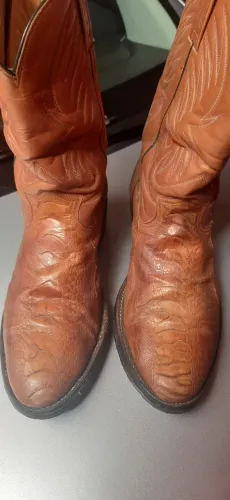 Bota Texana