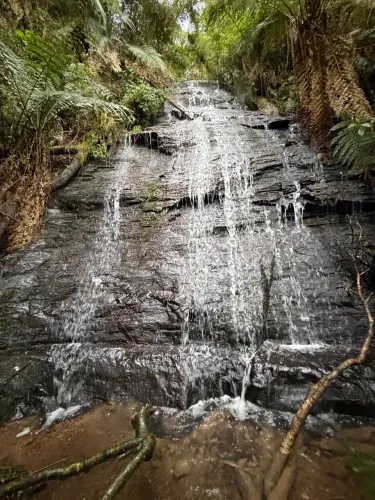 Terreno c CACHOEIRA frente asfalto - Urubici SC