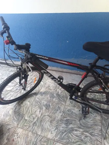 Bicicleta 