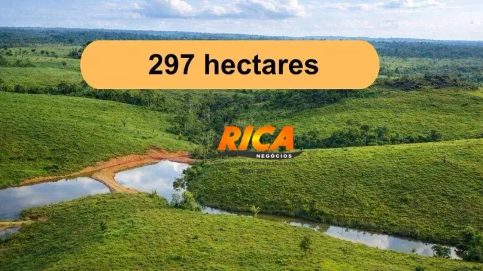 Vende-se Fazenda com 297 Hectares no distrito 180 - Manicoré/AM