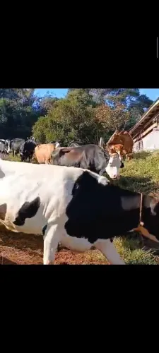 ? Agrícola 