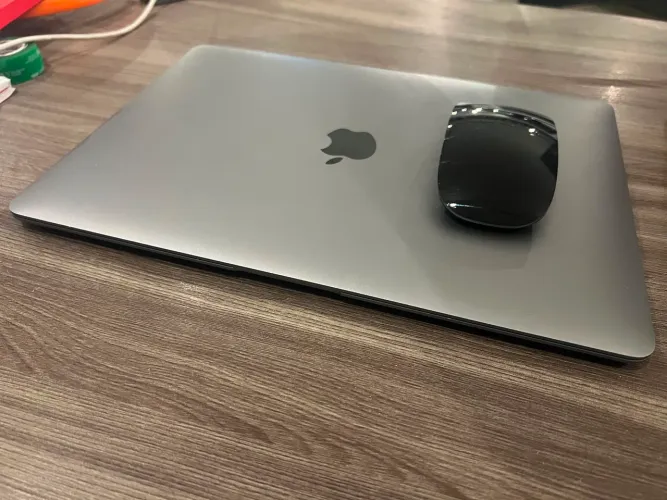 MacBook + Magic Mouse