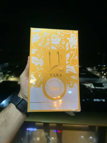 MELHORES PERFUMES AREBE DA ILHA!!!