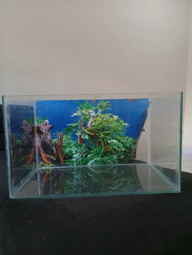 Aquário 60 litros