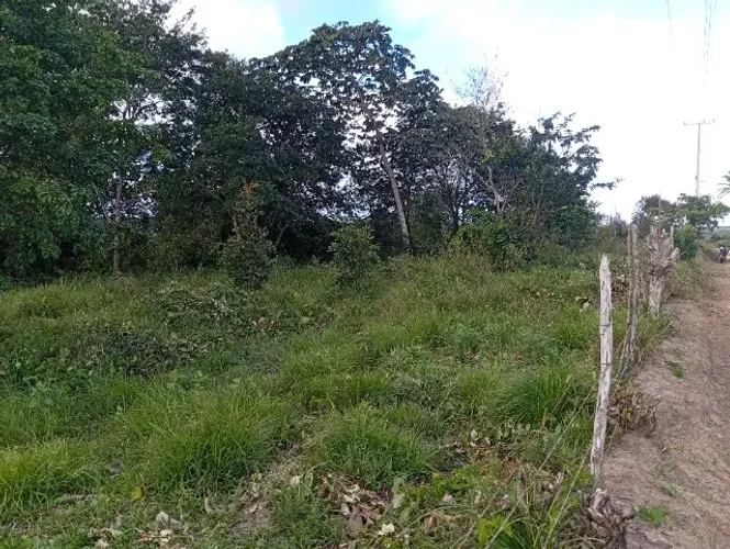 Lote de 10x20m ,no valor de 16 mil povoado tombo , salgado -se passa água, energia e wi-fi