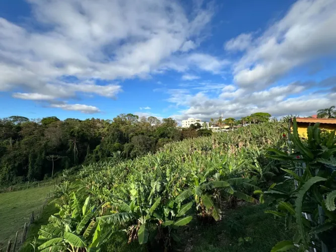 Terreno à venda, 21000 m² por R$ 8.500.000 - Marambaia - Vinhedo/SP