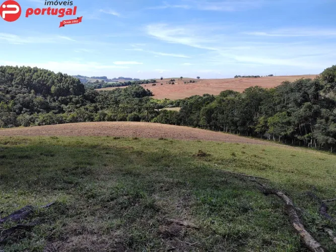FAZENDA RURAL em Wenceslau Braz - PR, Fazenda Velha