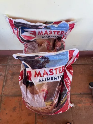 RAÇÃO GALINHA POEDEIRA ( MASTER )
