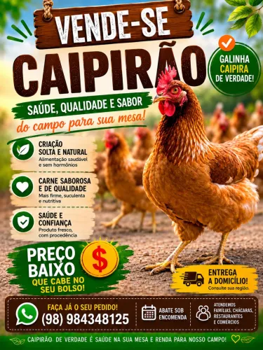 Galinha caipira 