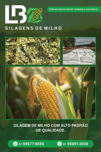 Silagem de milho ensacada