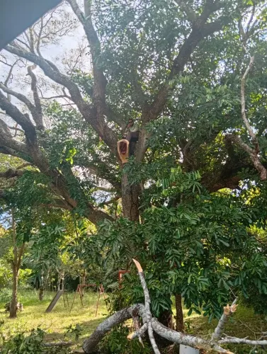 HR jardinagem 