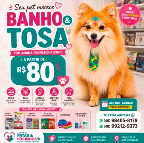 Banho e tosa