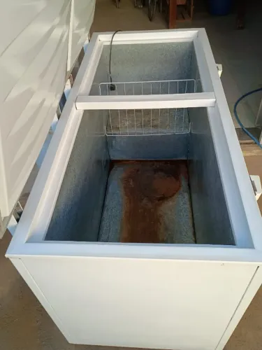 Freezer 