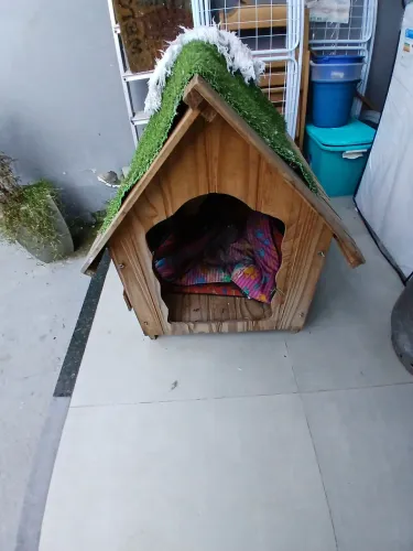 Casa para cachorro em madeira, bom estado, motivo mudança.
