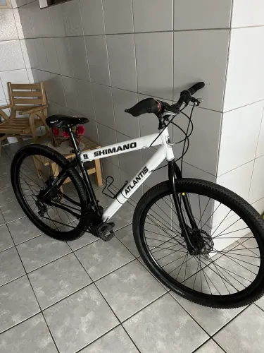 Bike Aro 29