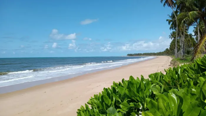 LOTE nascente   condomio beira mar  IPIOCA