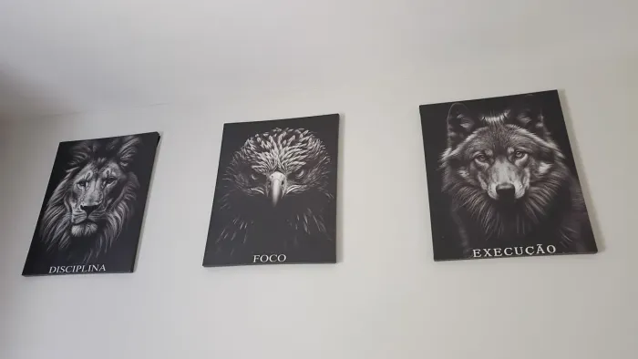 Quadros parede