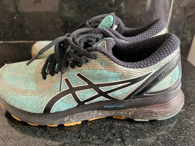 Tênis Asics Nimbus 21 Winterized nº 39