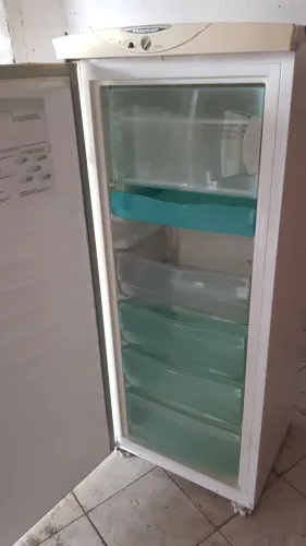 Frizzer vertical