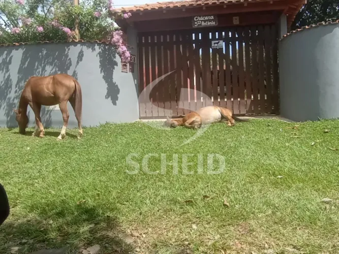 Chácara em Tatuí com 3 Quartos, Piscina e Pomar 2.000 m² de terreno